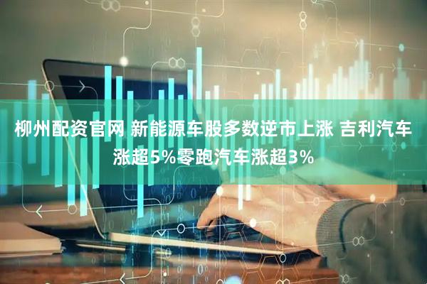 柳州配资官网 新能源车股多数逆市上涨 吉利汽车涨超5%零跑汽车涨超3%