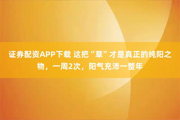 证券配资APP下载 这把“草”才是真正的纯阳之物，一周2次，阳气充沛一整年
