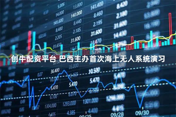 创牛配资平台 巴西主办首次海上无人系统演习