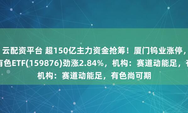 云配资平台 超150亿主力资金抢筹！厦门钨业涨停，华宝基金有色ETF(159876)劲涨2.84%，机构：赛道动能足，有色尚可期