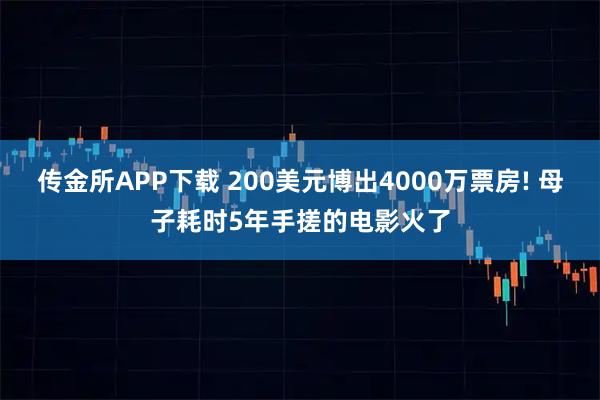 传金所APP下载 200美元博出4000万票房! 母子耗时5年手搓的电影火了