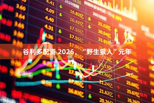 谷利多配资 2026，“野生狠人”元年
